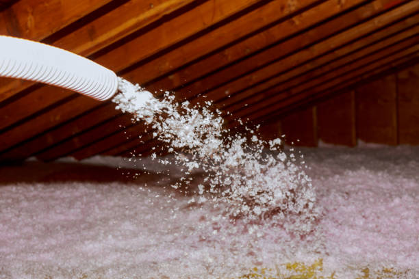 Best Residential Insulation Services  in Willow Springs, MO