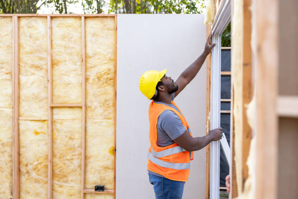 Best Insulation for New Construction  in Willow Springs, MO