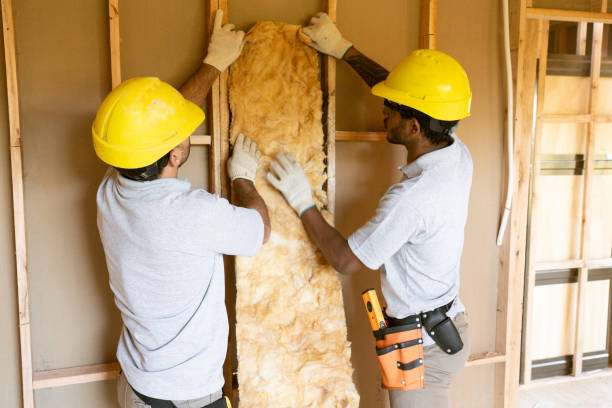 Best Insulation Contractors for Homes  in Willow Springs, MO