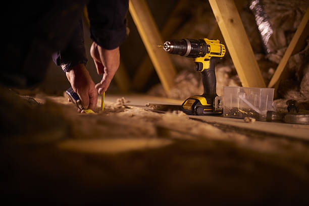 Best Insulation Inspection Services  in Willow Springs, MO
