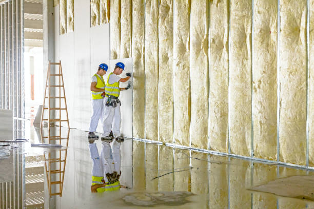 Best Crawl Space Insulation  in Willow Springs, MO